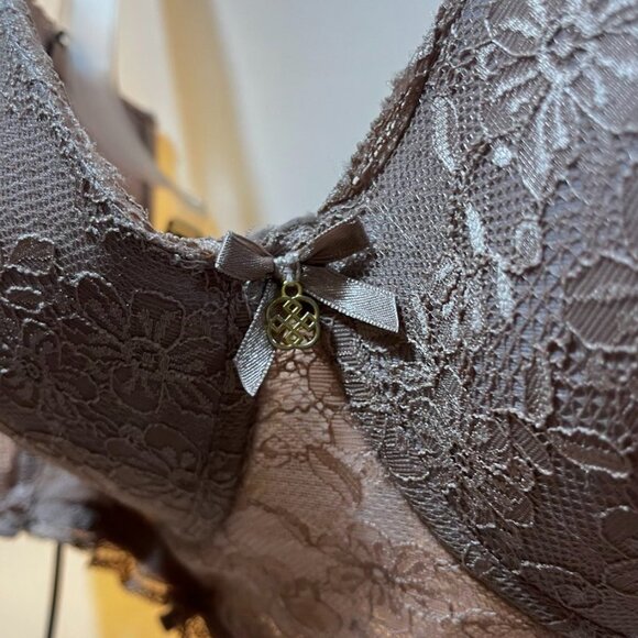 Daisy Fuentes Lace Longline Balconette Bra Strapless Push-Up Mocha 40D - Picture 11 of 16